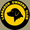 Labrador retriever breeders ontario bracebridge